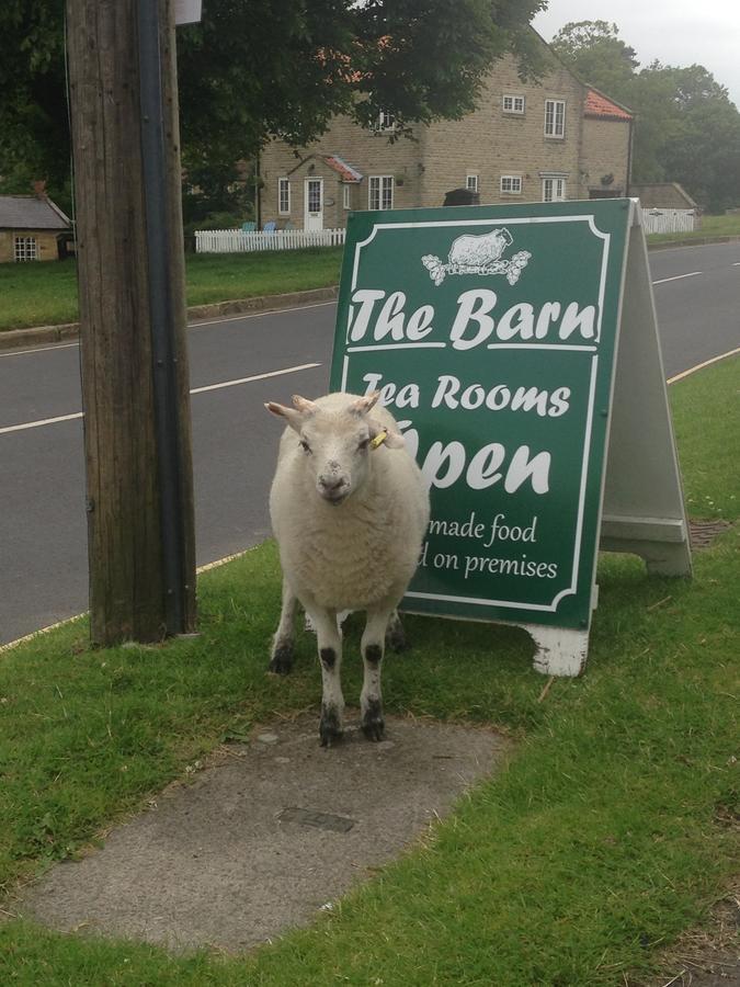 The Barn Guest House And Tearoom Hutton le Hole Bagian luar foto